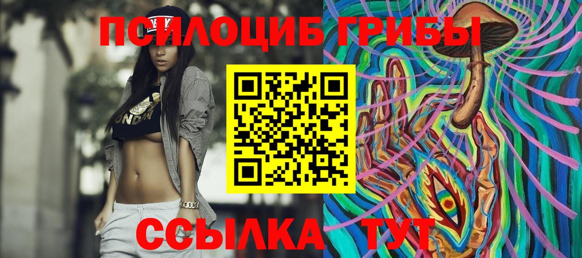 Углич  Псилоцибиновые грибы MAGIC MUSHROOMS  Вход с VPN 